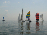   2009. . 