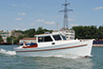 REDWING 24